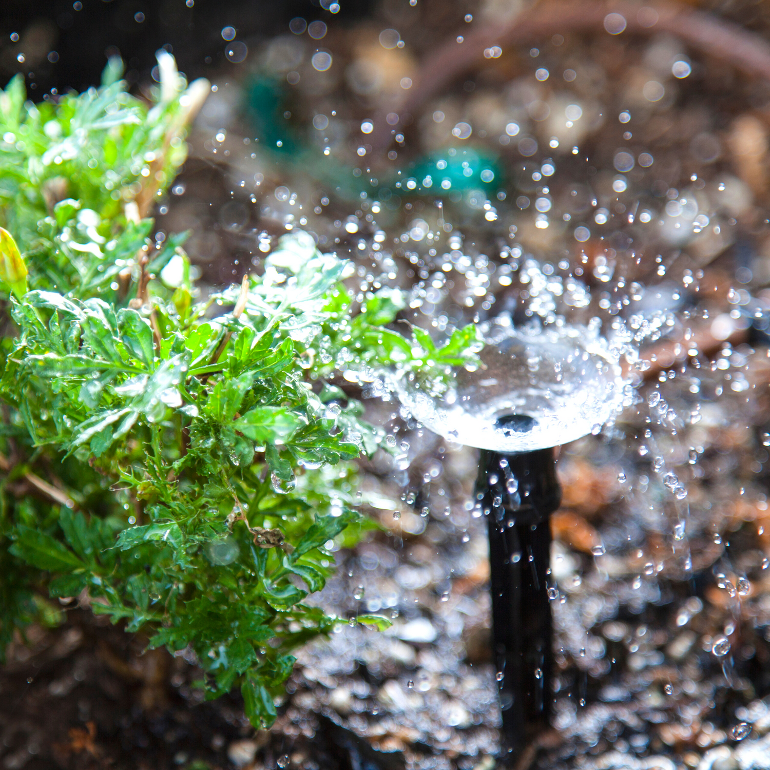 creative environments Irrigation Services